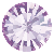 Violet - 20310